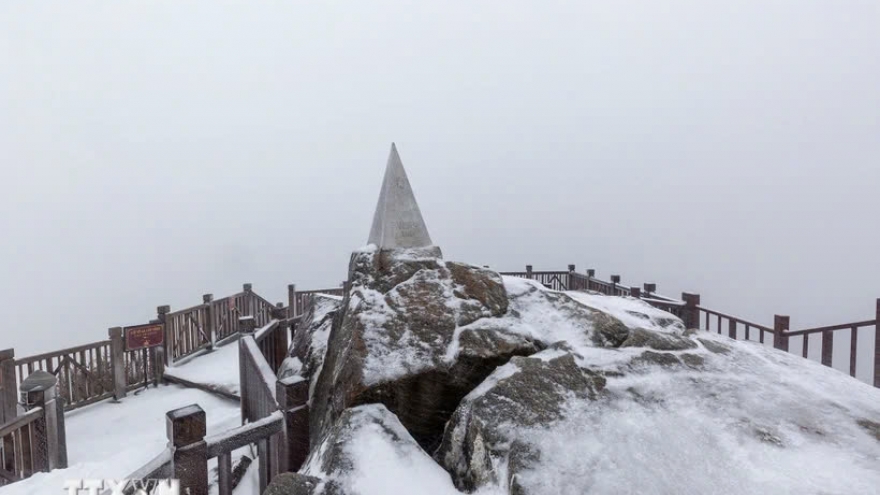 Snow blankets Fansipan Mt. peak due to strong cold influence